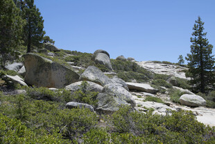山间岩石与绿植景观