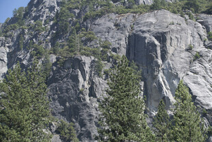 巍峨山峰与葱郁林木