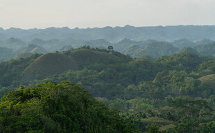 俯瞰葱郁山林美景