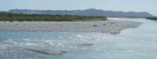 美丽海滨风光