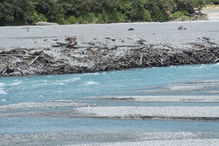 湍急河流与岸边景致