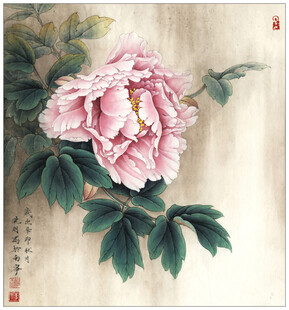 国画牡丹图