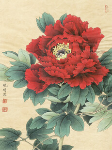 国画红牡丹