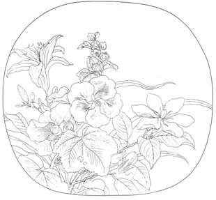 花卉白描图
