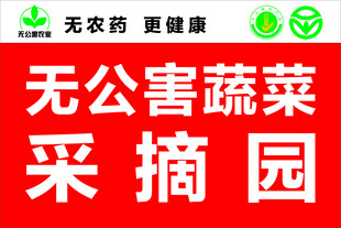 无公害蔬菜采摘园宣传图