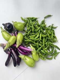 多彩新鲜蔬菜组合