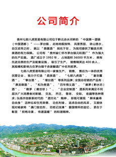 公司简介展示图