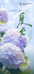 夏至节气海报