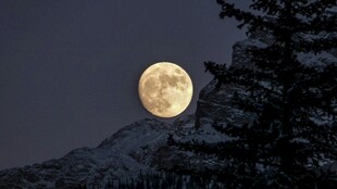 山间明月伴树景