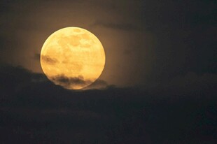 夜空中的金黄满月