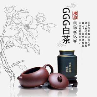 平面设计