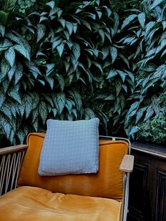 户外绿植旁的舒适座椅