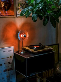 复古唱片机搭配绿植氛围美