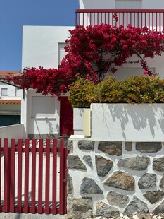 红栅栏旁的烂漫花卉小屋