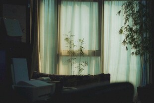 温馨室内窗边静谧一角