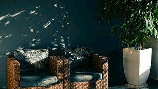 静谧角落的舒适家居场景