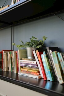 书架上的多彩书籍与绿植