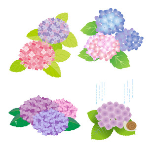 矢量绣球花