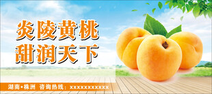 黄桃