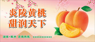 黄桃