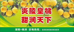 黄桃