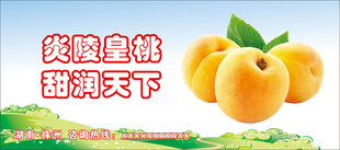 黄桃