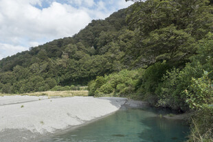 山间清澈河流与葱郁植被