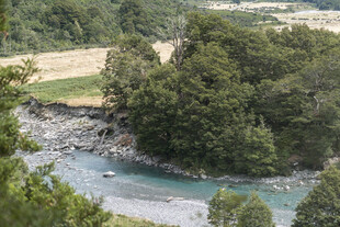 山间清澈河流与葱郁树林