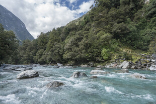 湍急河流穿山林美景
