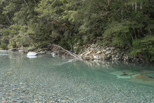 清澈河畔的自然美景