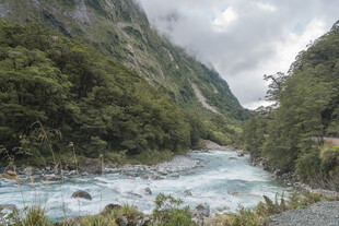 山间湍急河流与葱郁植被