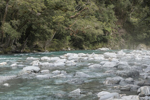 山间溪流与嶙峋石块