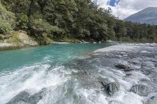 湍急河流与翠绿山林景观