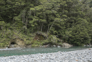 山林间的清澈河流