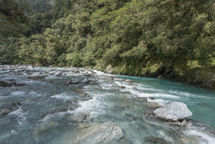 山间溪流 清澈灵动之景