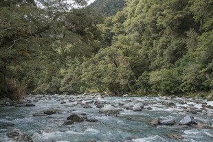 山间湍急溪流 绿意环绕