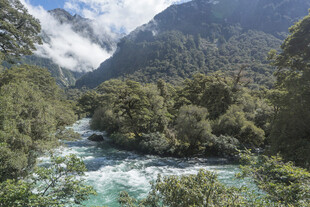 山间河流与葱郁植被景观