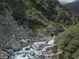 山间湍急溪流与葱郁植被