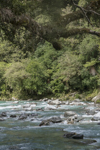 山间溪流 绿意环绕的美景