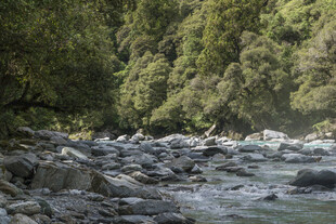 山间溪流旁的嶙峋怪石
