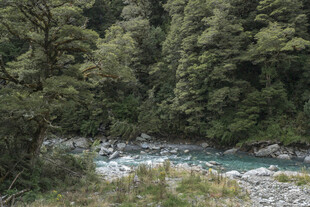 山林间的清澈溪流