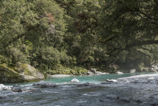 山间溪流 绿意环绕的美景