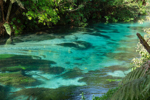 清澈蓝绿色溪流自然美景