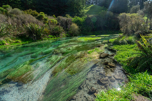 山间碧溪 绿意盎然的自然景