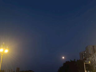 夜幕下的路灯与朦胧建筑