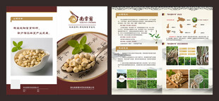 半夏对折页