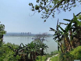 江景