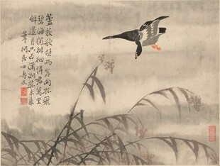 芦塘飞鸟图
