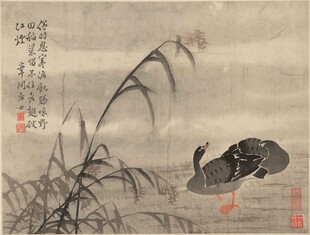 水墨芦塘孤雁图