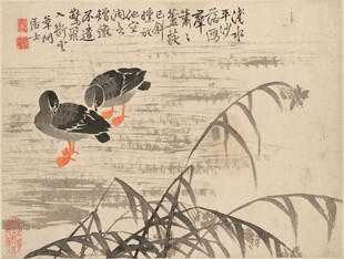 双鸭戏水图
